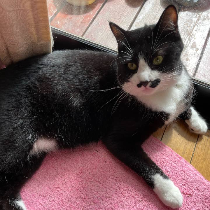 F923e8b4 ccbe 436f ab90 34903d839354 1664066192196