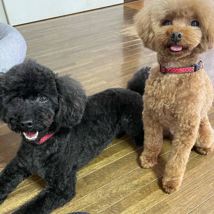 F9240308 0ef5 4008 8ca0 6cb66122363e 1621743611157