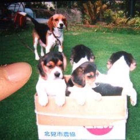 F924399b c7dc 40a1 8cb7 e494954b6446 1569799699919