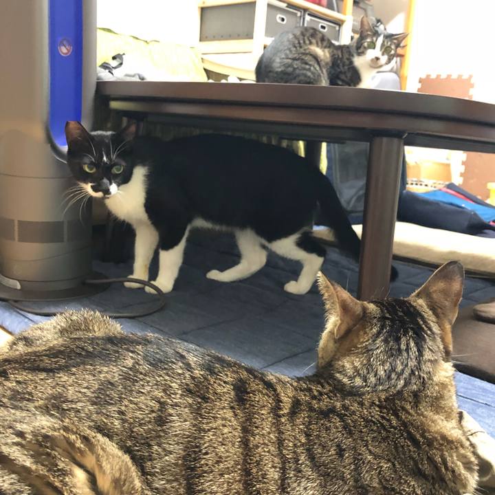 F9245481 7f5e 4f6b 9c4b af3d9da53c24 1531429285616