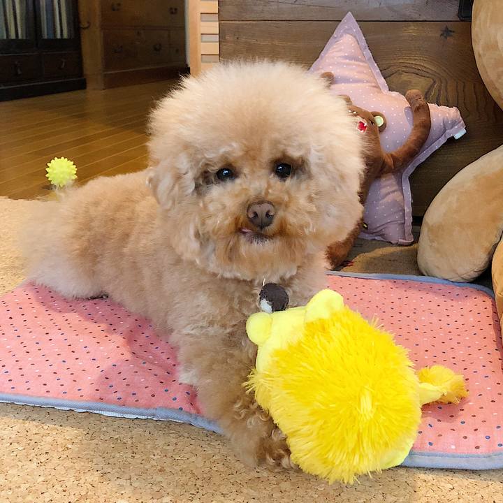 F9249677 2ef9 4128 9a4b 873e0f80dada 1524537890792