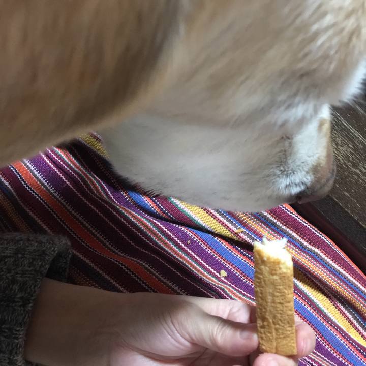 F9249efd 7a89 4dd8 887b 581180633a5c 1519460895811