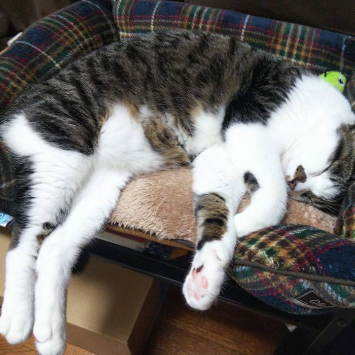 F924b771 5596 412b 8b9d c815fa417ed9 1656309091981