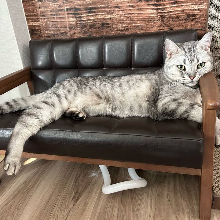 F924c4e1 c4b1 4fd4 b7aa ebb27187c108 1774766959820