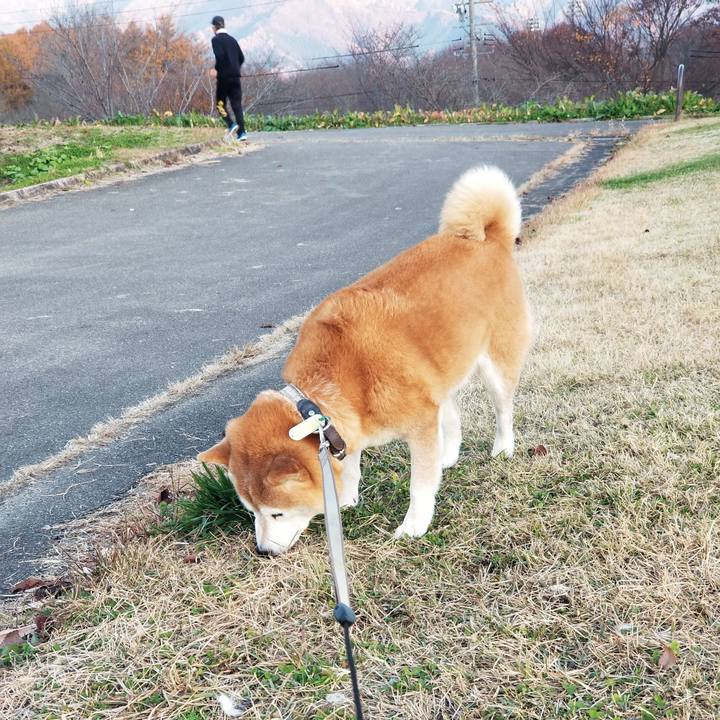 F924febb 7b43 4bc5 8e80 d6f3152f8c88 1668841439265