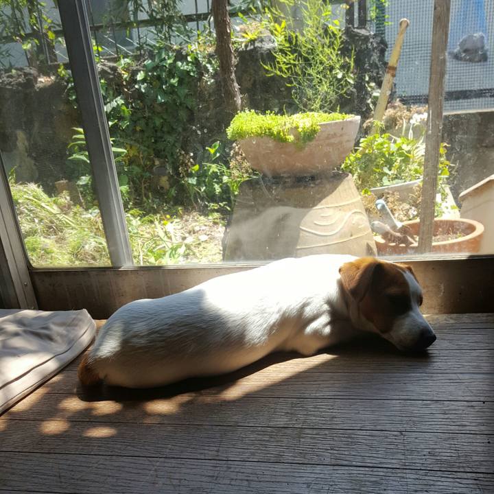 F9250471 d0a2 4312 b3e9 f8d1724128a5 1557303746439