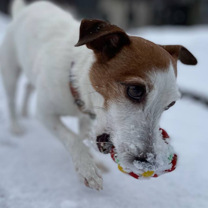 F9251fb7 71e1 44bf 983a 3fc810a0daed 1770513133123