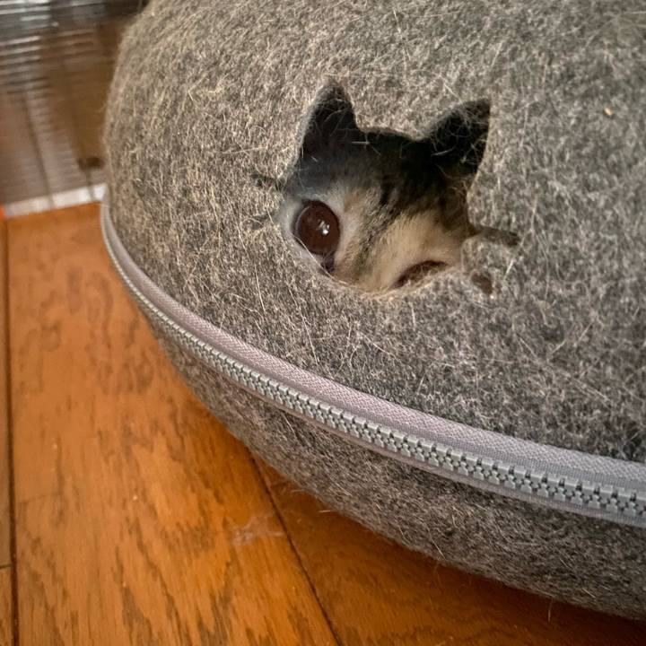 F92536a8 2e20 4df8 ba1f 72e6e823a753 1752624179363