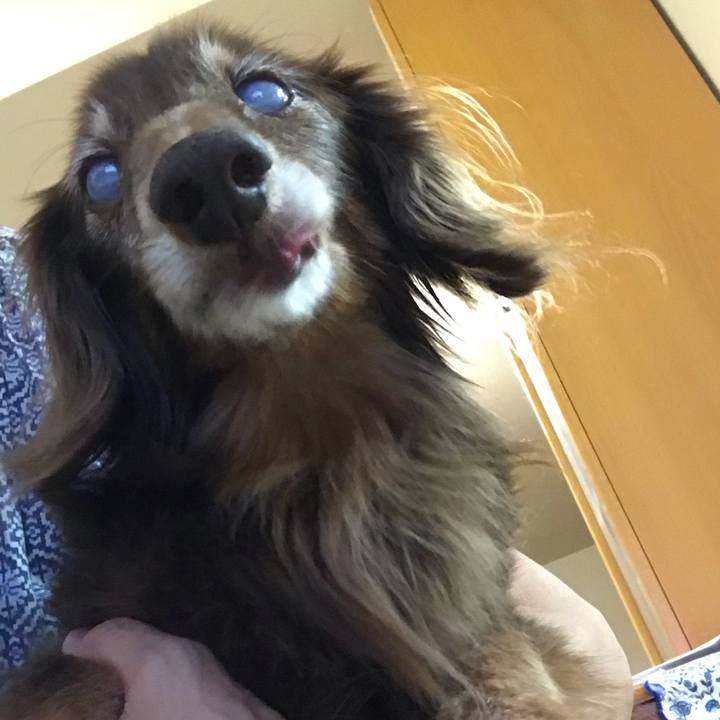 F92567ea 543c 4a2d b1d5 d526560ee9cf 1565787853396