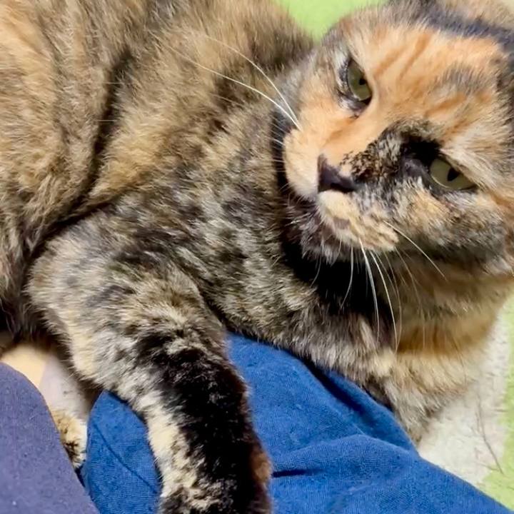 F9257e0c 8981 4615 8157 2e6404926790 1761076526386