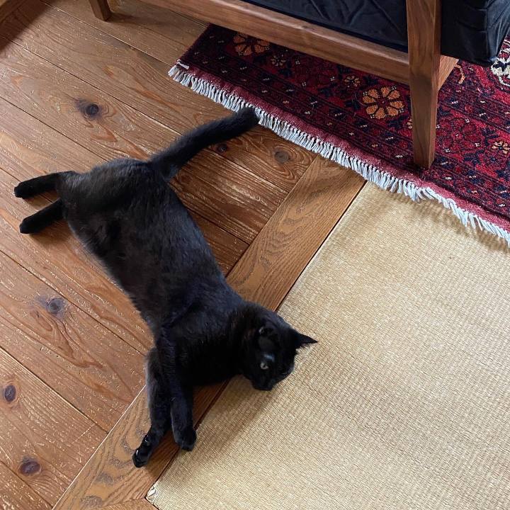 F925bd63 2976 476f b9e5 ea7f2d6b70fb 1631677888327