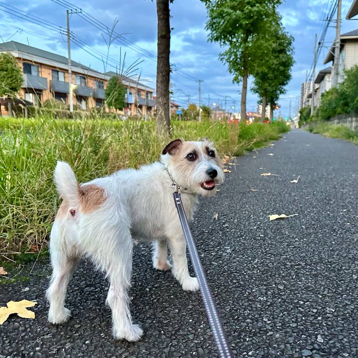 F9262fb5 06da 4ab0 9f9b 5bef70847524 1729171554790