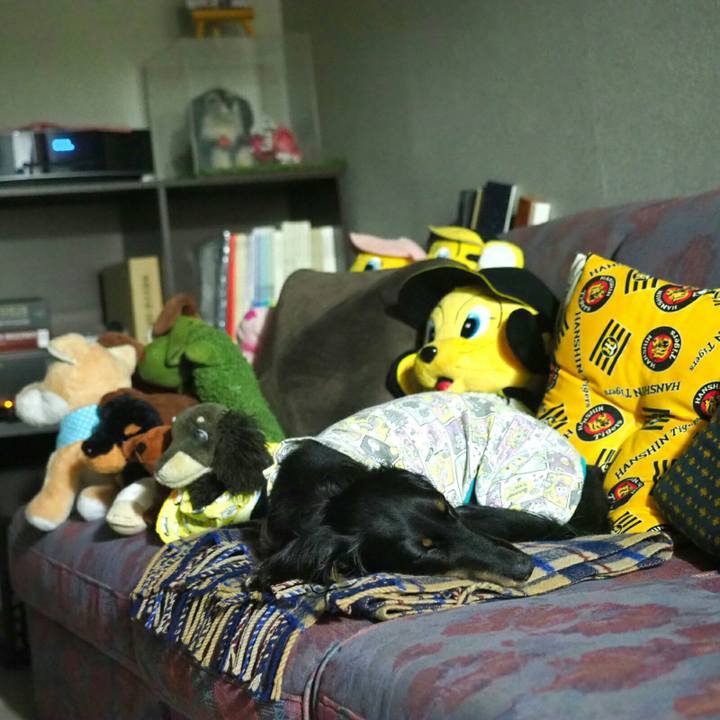 F9263c99 9e82 4555 8d9b 41b087e98a38 1560168791293