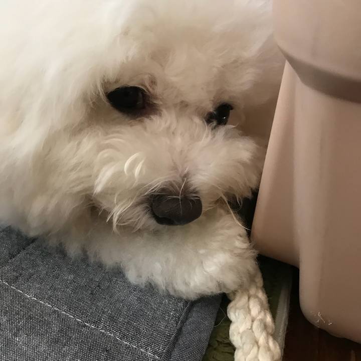 F9269839 c64e 4e84 acee 6c5795fb7e39 1538535451589