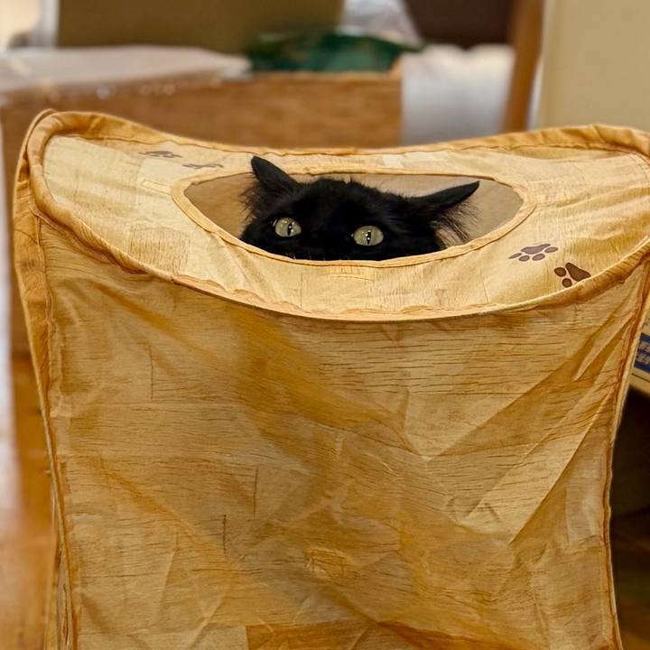 F9269e3f fd69 4497 9c1d 94ae10618bec 1772530094679