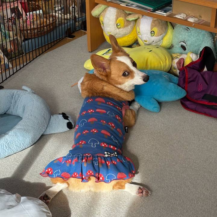 F926cae1 c0a6 49f4 8760 9adf8ee2b099 1763946630231