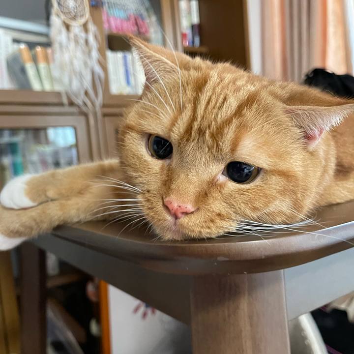 F926ebde 5e6e 4a4a 8a90 650b3ab15173 1659776402195