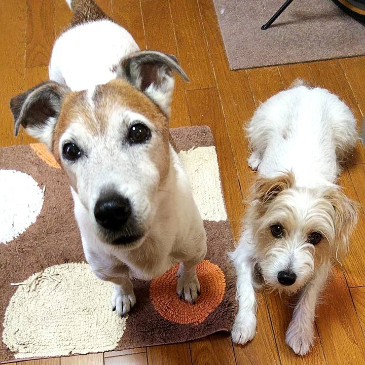 F926f6fc 4341 4a7c 8753 df5ba56a8789 1563231015725