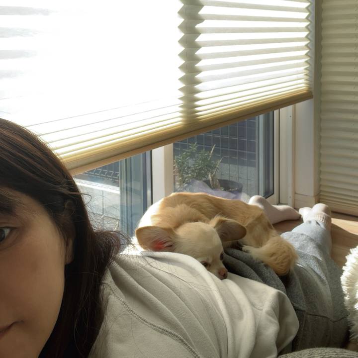 F9270769 2fde 4350 8696 6ad38b81a855 1737171960602