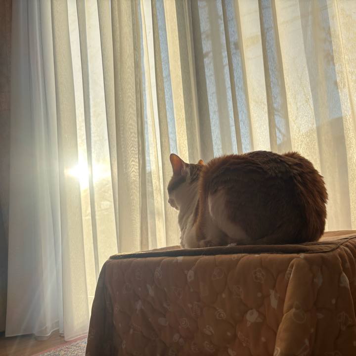 F927820d 0557 418d af33 0ef423227ff6 1766447307216