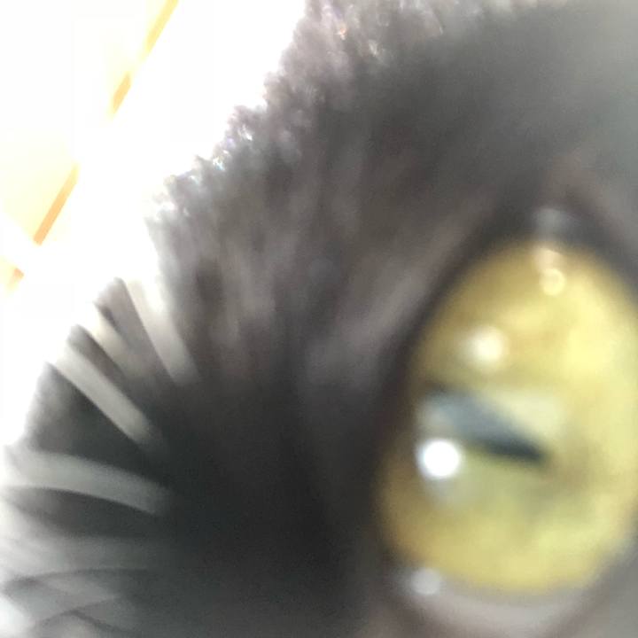 F927a24c 17da 47e0 a7fc 8f476f608de6 1541765204958