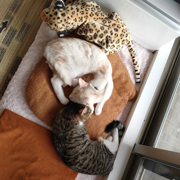 F927b7ae fc5b 4e89 9078 d76b960bb3a4 1635745319790