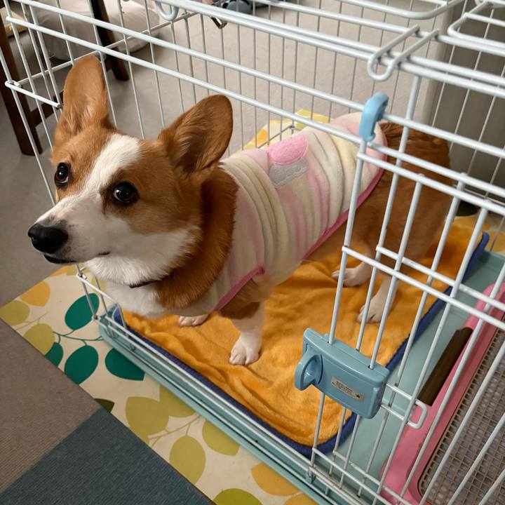 F927c1cc 850e 4040 ba91 3a89e122bb5e 1767769318987