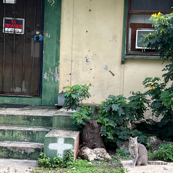 F927ce2d 28ba 4b0a a057 508de59ded64 1733907338622