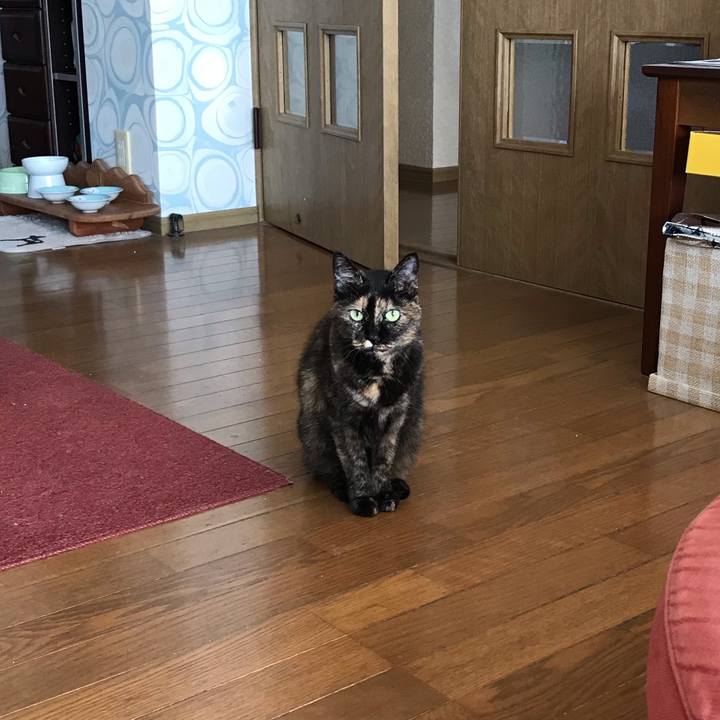 F927e2e8 f2c3 4275 86ea 6c257eae697f 1602813122133