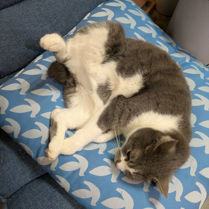 F927f49e 0df0 499a bde7 5247b92b60a4 1746970736845