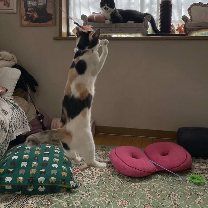 F928070d 1ea2 4d9e b448 ddd608ad76e6 1681602380511