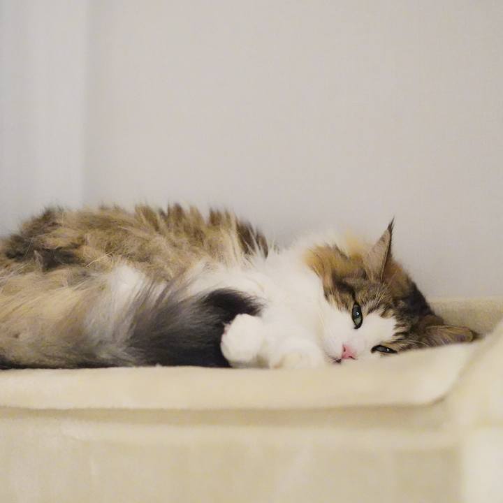 F9285295 e55b 4e74 9bdd 2ceabe3071e9 1689253238781