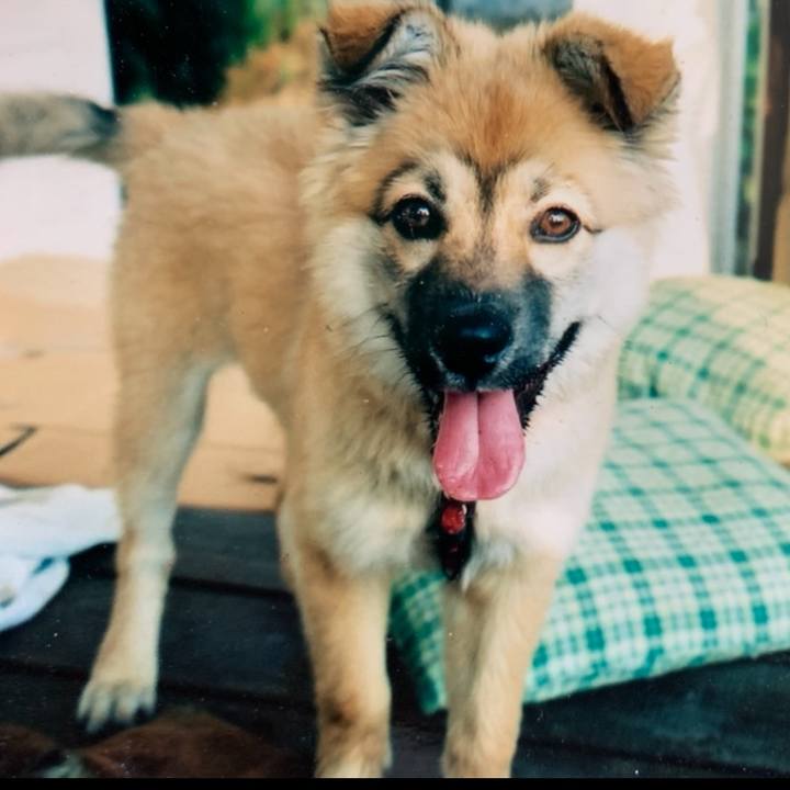 F9285421 2a96 4a60 ba48 10773b15118b 1648477551385