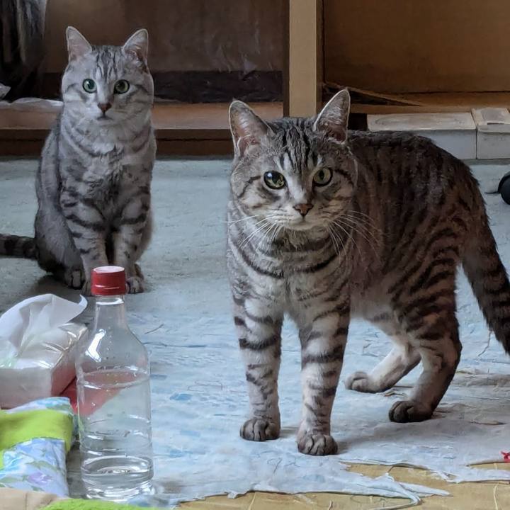 F928da06 80ca 4620 8f7e 05027a28a6b3 1735800880757