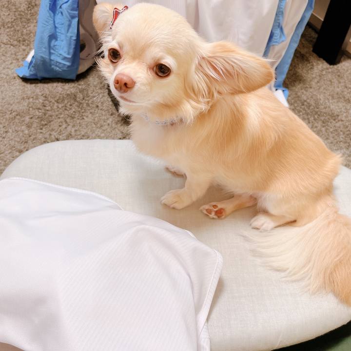 F92911e9 444b 4078 9af3 8aceae2d392d 1657703595358