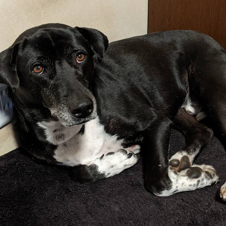 F92943db aee2 4e5c aff7 6cf180263258 1706139371244