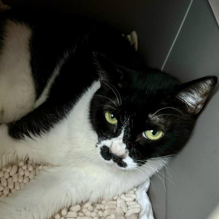 F929a11a b73e 4b9f 9d68 9eaae17f87f9 1725535144042