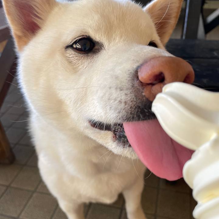 F929b17c 80f3 4e03 8ca3 742192ae1592 1682743862169