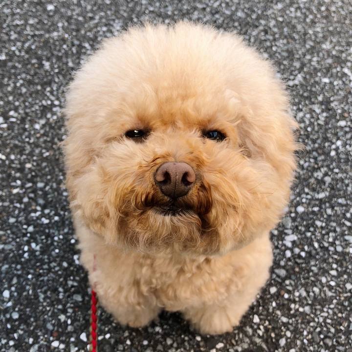 F929c184 eb1d 4547 b9a7 a22ef55c8183 1513734980474