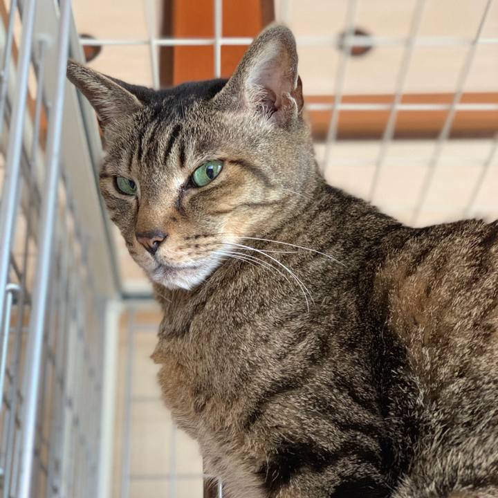 F929fb9d 025a 440f a8ad f5e4558bc383 1590109348159