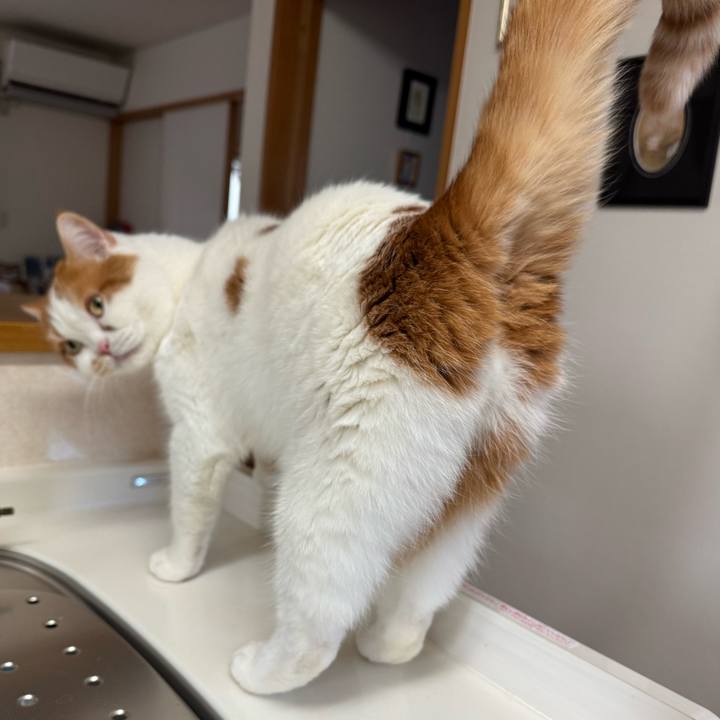 F92a1d07 b6ed 415d 9ba9 d00afa467c5c 1770950058098