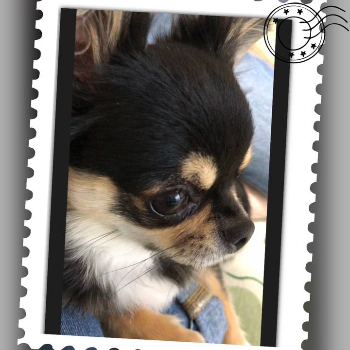 F92a369b 493c 4554 915b 02931a7f8370 1560380038957