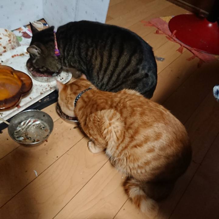 F92a5a77 f528 42e2 9368 913e1313c9b6 1643836629209