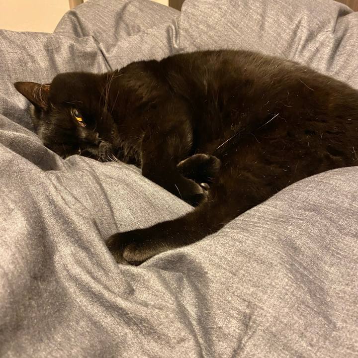 F92a6e22 24fd 477f 9b42 97cd04cbab42 1706361212053