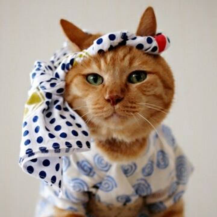 F92ae541 73c1 469c 9fac a430f86ed207 1566012794931