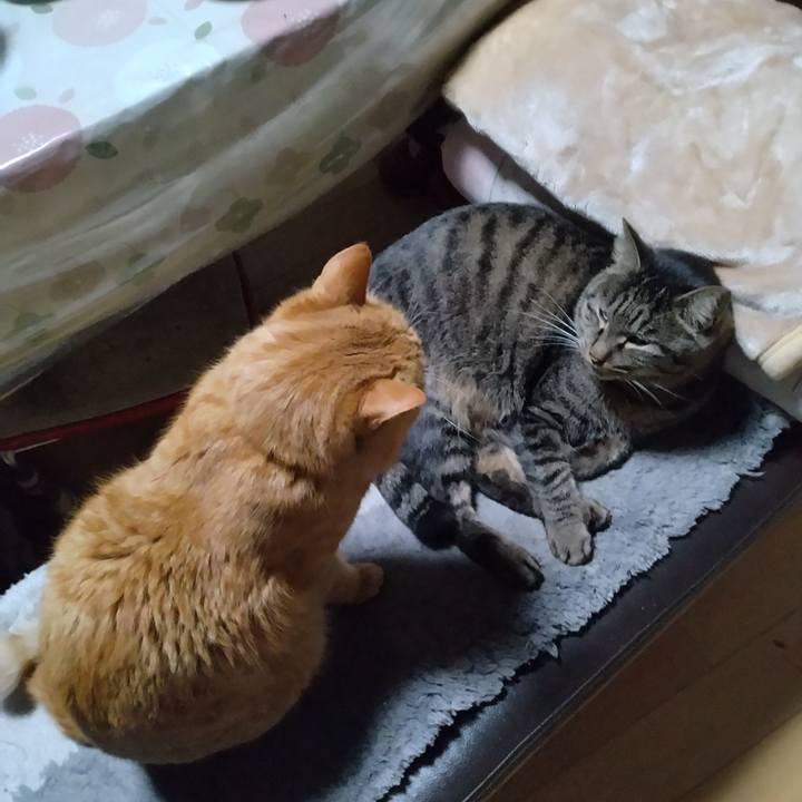 F92ae569 2bc8 4c08 b4c6 5fe08852b8fa 1671192885881