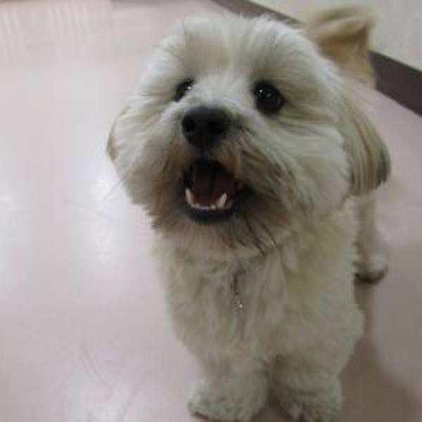 F92af5b4 8dc2 460e 849f ee18fe5cccf7 1514470235350