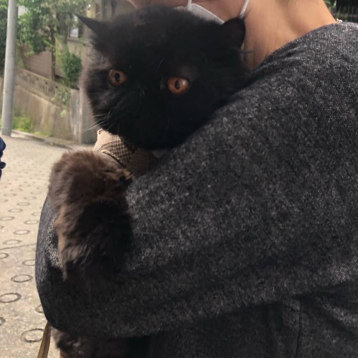 F92b1434 7aca 478a a591 f9fad397da89 1665281777687