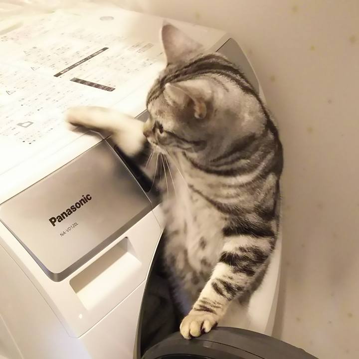 F92b288f 8473 47d8 a952 c27ded27aefc 1578740542849