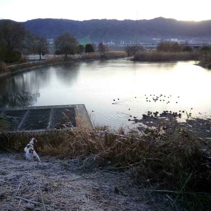 F92b2a57 71e4 4175 9dec 615bde64a364 1515025039592